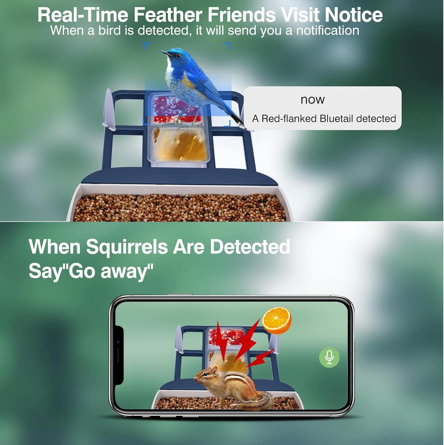 Smart Bird Feeder with Camera Solar Powered, AI Bird ID Outdoor, 2K HD Camera, Wireless Connection and Motion Detection — 5 of 5