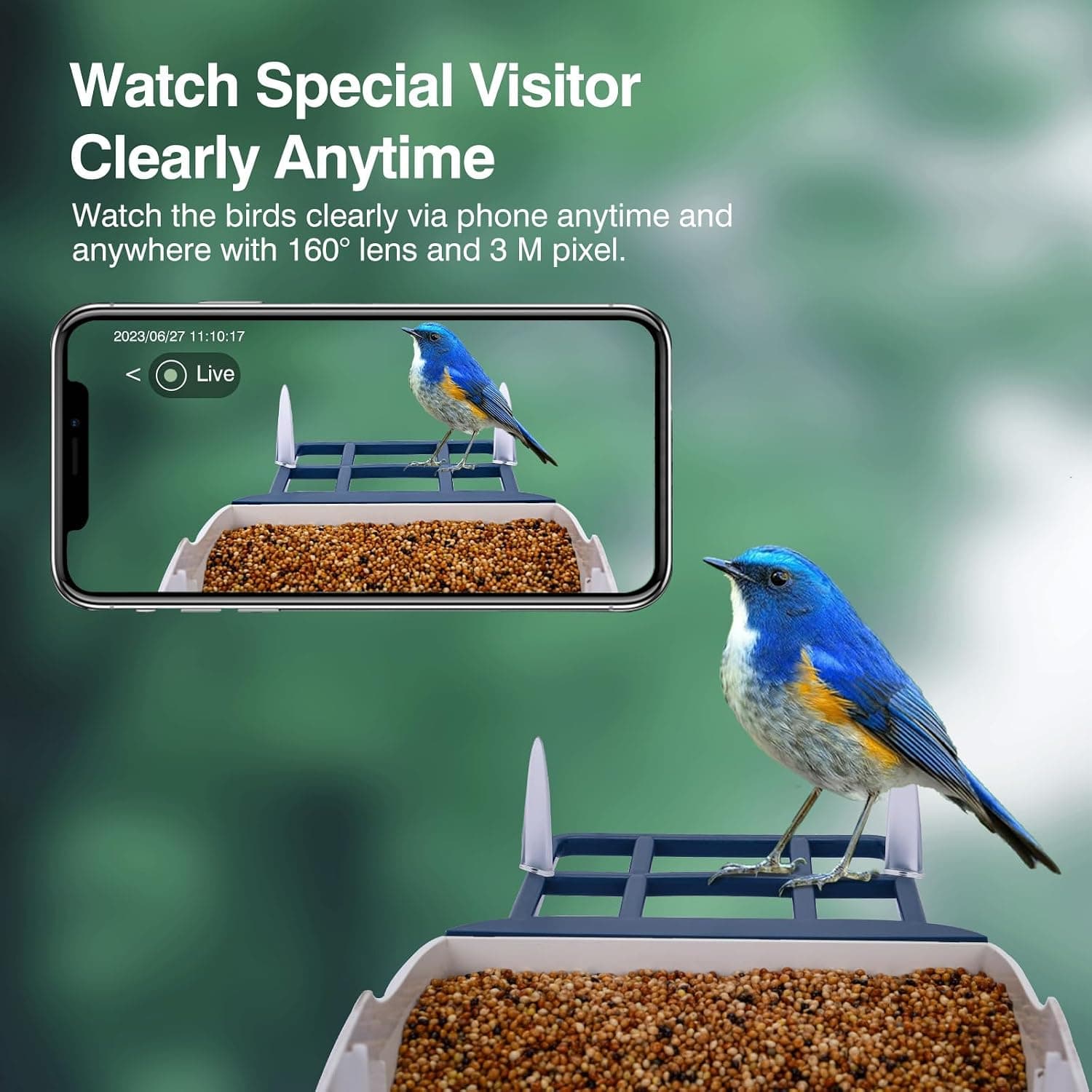 Smart Bird Feeder with Camera Solar Powered, AI Bird ID Outdoor, 2K HD Camera, Wireless Connection and Motion Detection — 2 of 5