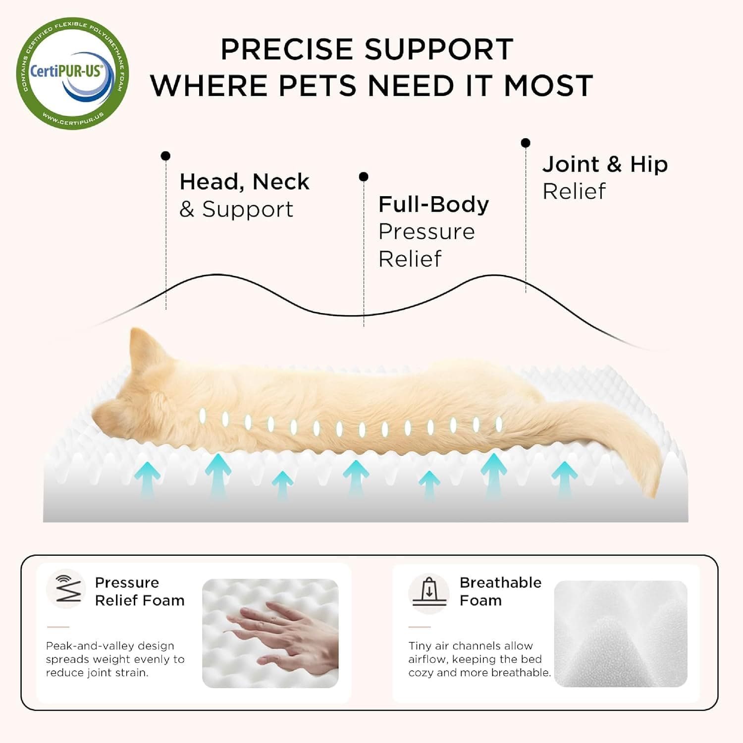 Washable Dog Bed 36x27in with Orthopedic Egg-Crate Support, CertiPUR-US Certified Foam, Machine Washable Cover and Anti-Slip Bottom — 4 of 5