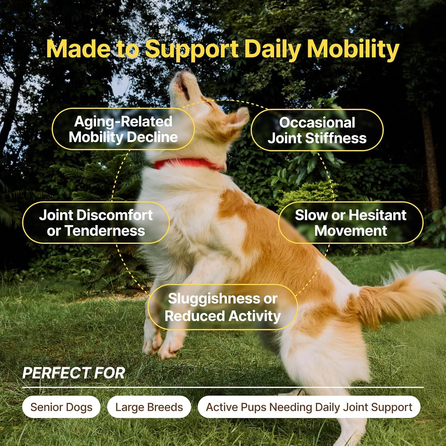 Hip and Joint Chicken Chews for Dogs 180 Count with Premium Natural Flavor and Daily Mobility Support Formula for Canine Joint Health and Longevity — 5 of 5