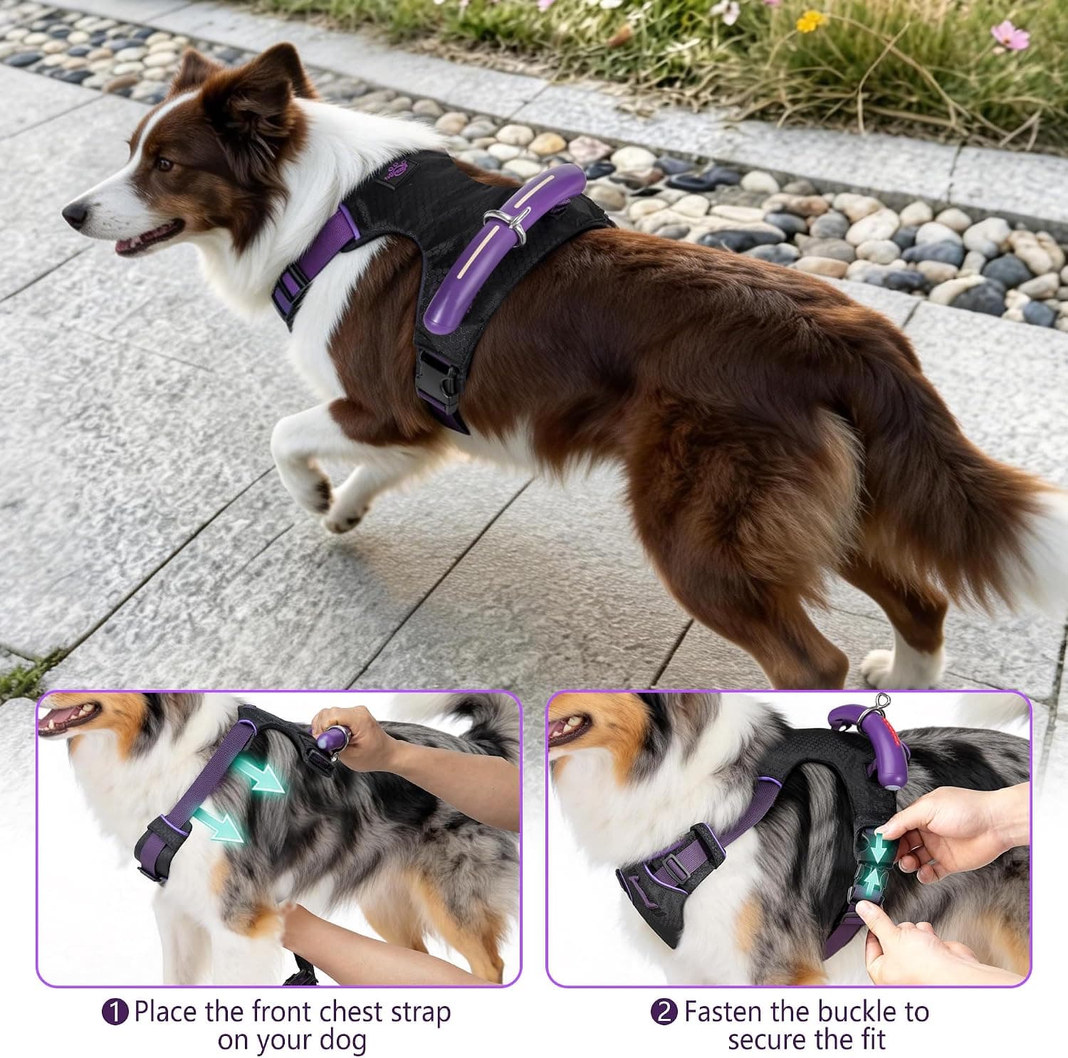 Escape-Proof Dog Harness with LED Handle Featuring 29 to 35-Inch Adjustable Chest Girth, Reflective Straps, and Dual Leash Attachment Points for — 5 of 5